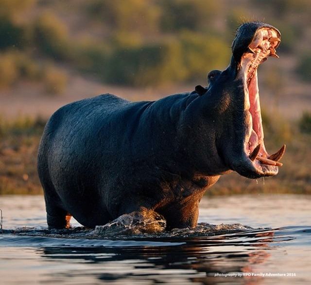 From Turquoise Shores To Endless Savannas - A Twelve-Day Luxury Escape Tour