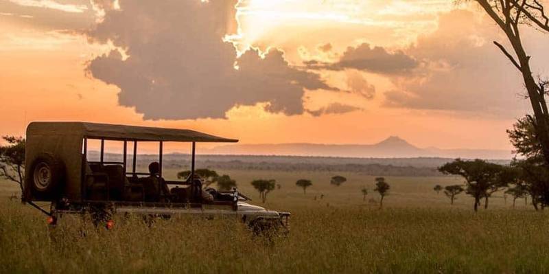 From Shores To Savannas - A Seven-Day Luxury Zanzibar - Safari Escape Tour