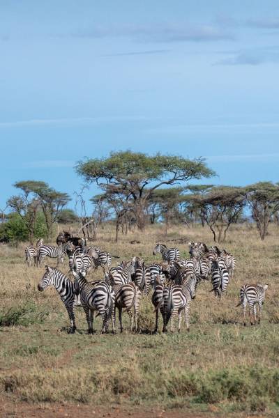 Sapphire Shores - Golden Plains - A Nine-Day Luxury Escape Tour