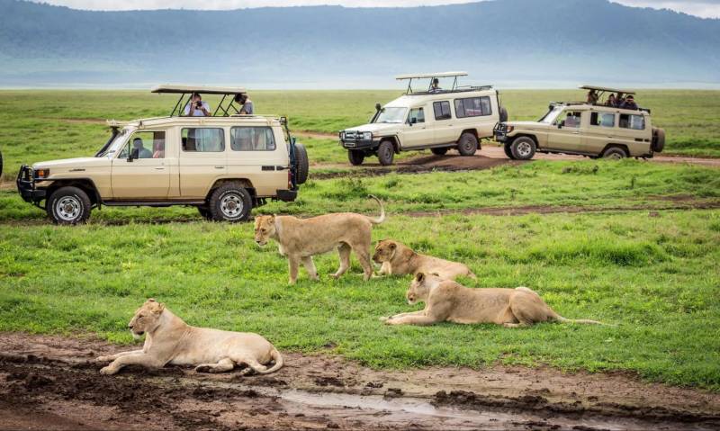 8-Day Honeymoon Safari Escape Tour