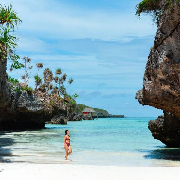 Wilderness - Waves - A Seven-Day Luxury Safari - Zanzibar Escape Tour