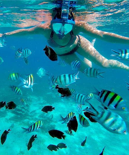 Wilderness - Waves - A Seven-Day Luxury Safari - Zanzibar Escape Tour