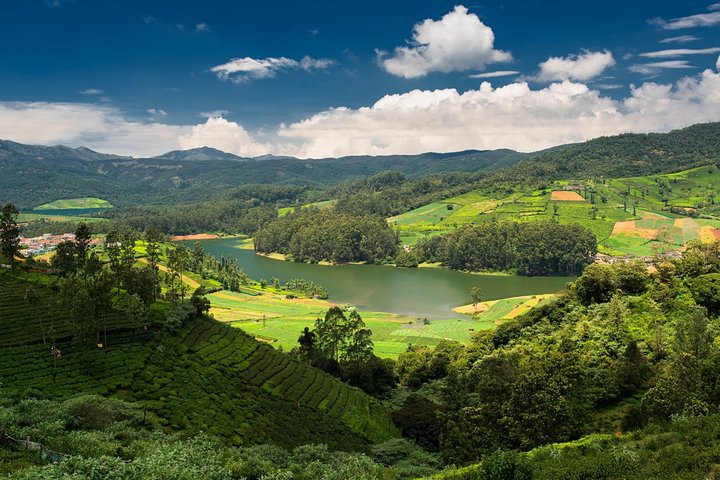 4N Munnar - Varkala - Cochin Tour Package Image