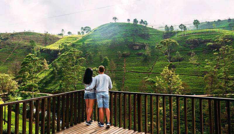 4D Cochin - Thekkady - Alleppey Tour Package Image