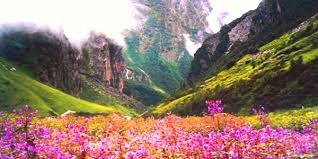 7N Darjeeling - Pelling - Gangtok - Lachung Tour