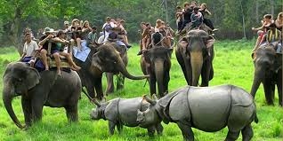 6N Shillong - Kaziranga - Guwahati Tour