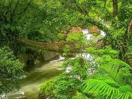 7D Shillong - Cherrapunji - Kaziranga - Guwahati Tour