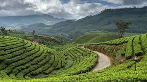 5D Munnar - Thekkady - Madurai Tour Package