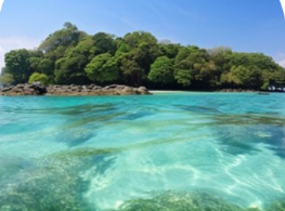 Andaman 4 Night - 5 Days Tour Image