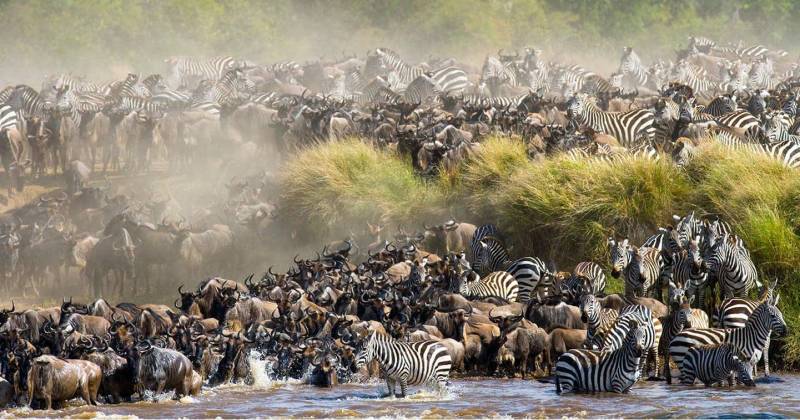 4 days 3 nights Maasai Mara and Lake Nakuru