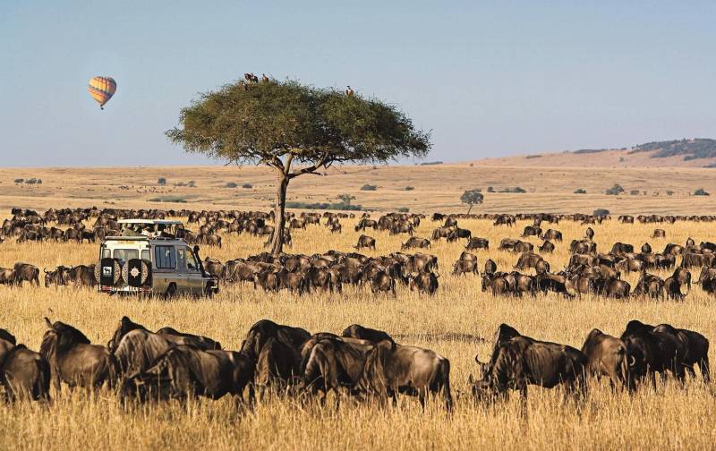 4 days 3 nights Maasai Mara and Lake Nakuru