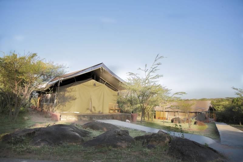 3 Days 2 Nights Maasai Mara Best Safari