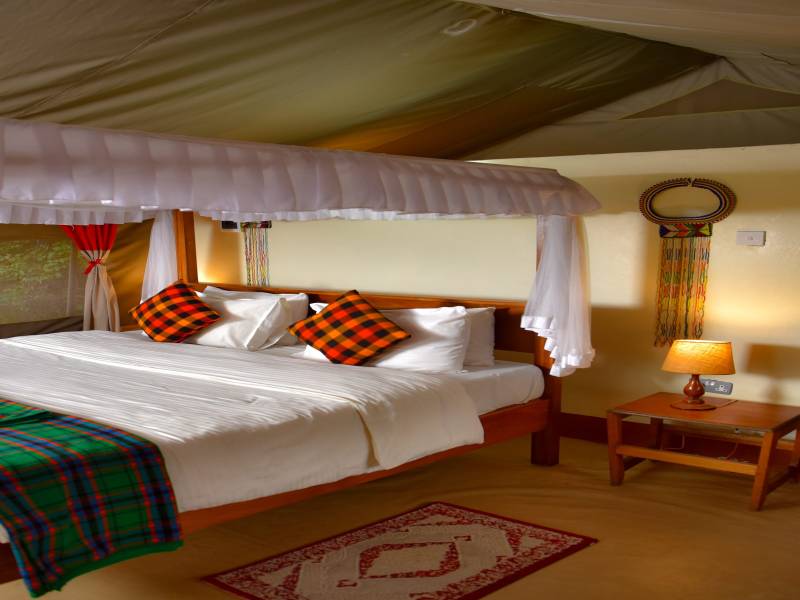 3 days 2 nights Maasai Mara best safari