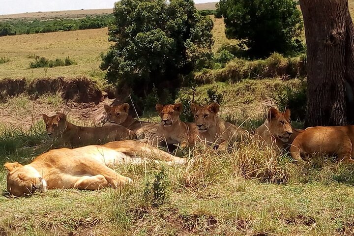 Nairobi National Park Excursion Tour