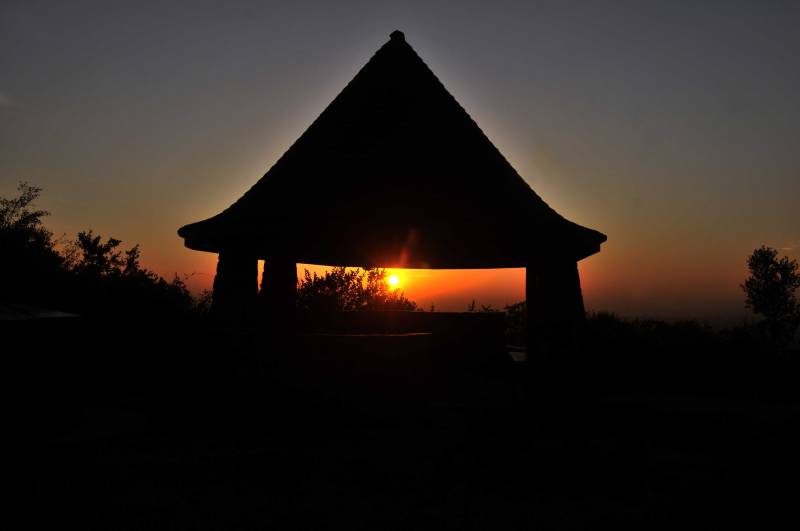 Nairobi National Park Excursion Tour