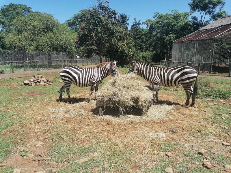 Kisumu - A Gem By The Shores Of Lake Victoria Tour