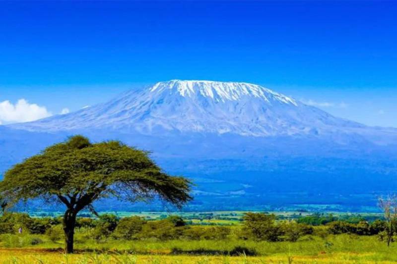Private Kilimanjaro National Park Day Tour Image