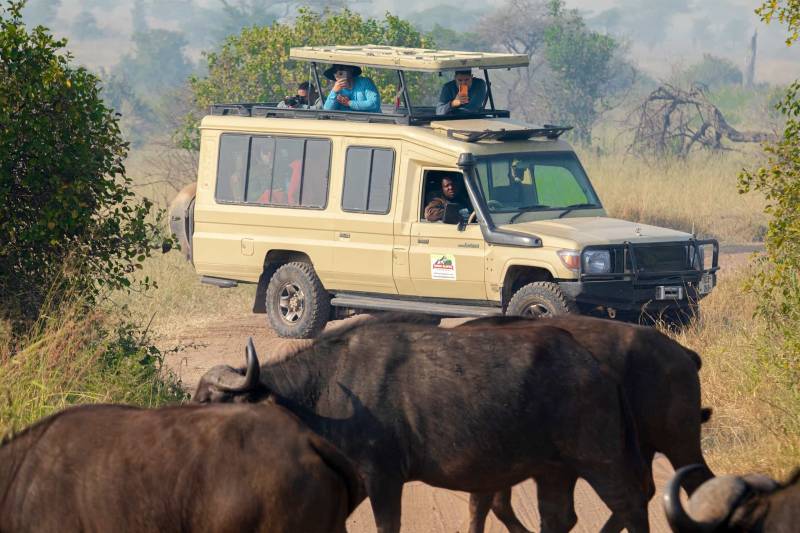 11 Day Migration Kenya And Tanzania Tour
