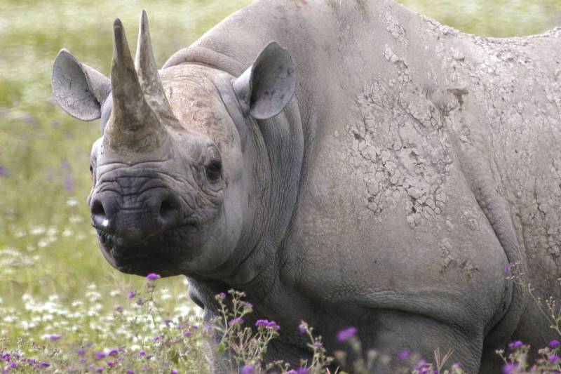 6 Days Tanzania Private Experience Tour