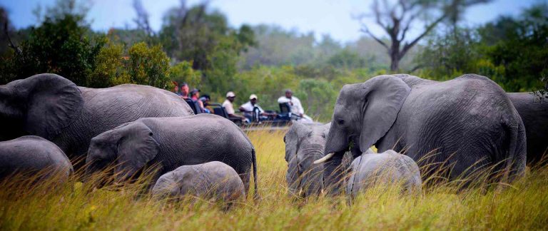 4 Days Amboseli - Tsavo West Tour Image
