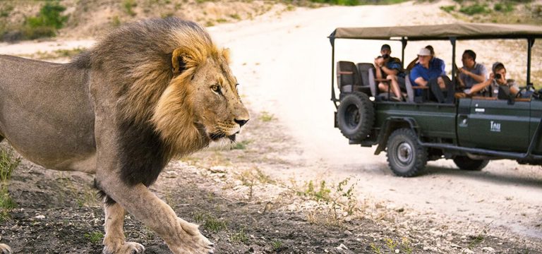 4 Days Tsavo West And Tsavo East Tour Image