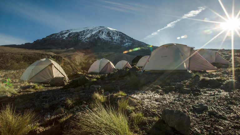 6 Days Mt Kilimanjaro Marangu Route Tour