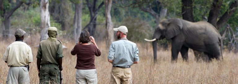 9 Days Wildlife And Trekking Safari Tour Image