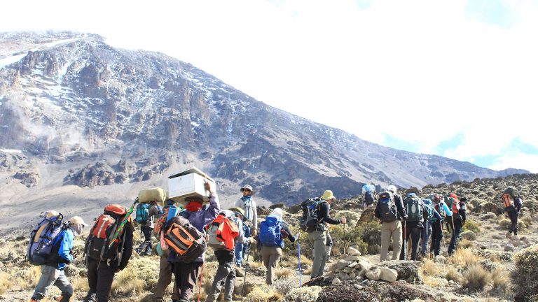 Mount Kilimajaro Climbing - 7 Days Machame Route Tour Image