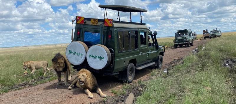 4-day Lake Nakuru and Masai Mara Luxury Kenya Safari