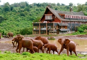 10 Days Private Wildlife Safari Adventure In Kenya Tour Image