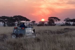 7 Days Wilderness Kenya Safari Tour Image