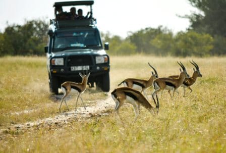9 Days Kenya Safari Tour Image