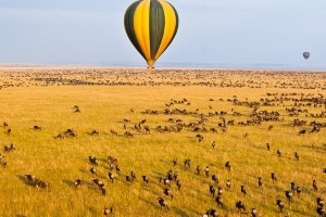 Hot Air Balloon Safari Offer Tour Image