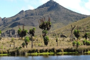 Mount Elgon National Park Safari Tour Image