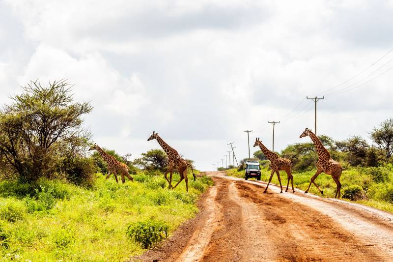15 Days Rustic Kenya Wildlife And Beach Safari Tour