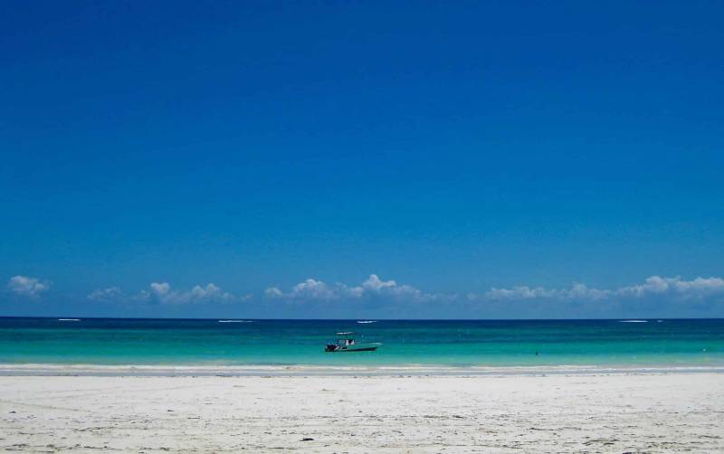 8-Day Bush To Beach Kenya Safari Tour Image