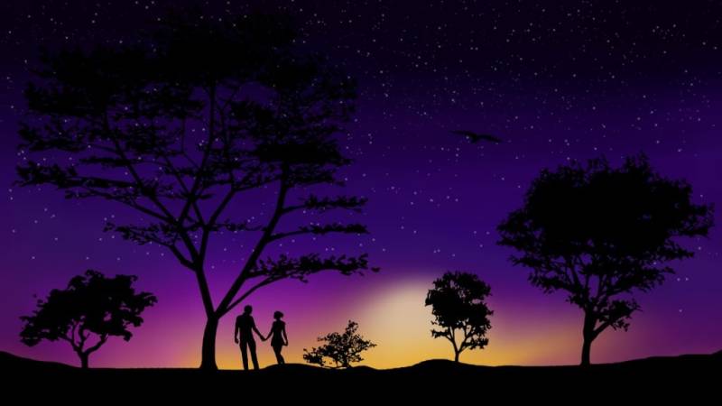 4 Days Kenya Honeymoon Safari Tour Image