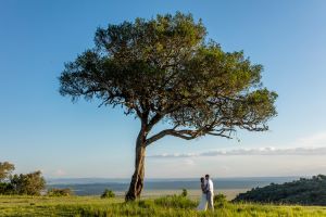 4 Days Masai Mara Honeymoon Safari Tour Image