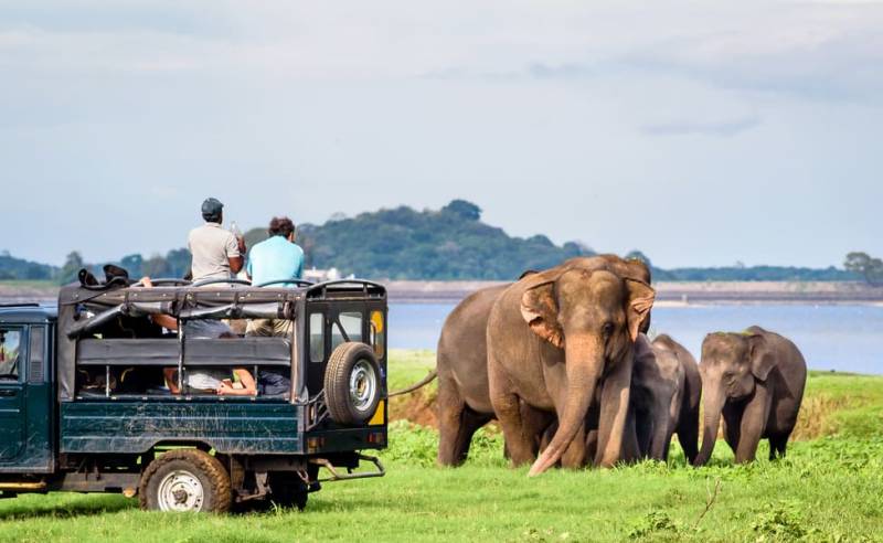 5-Day Sri Lanka Tour with Train Ride & Safari