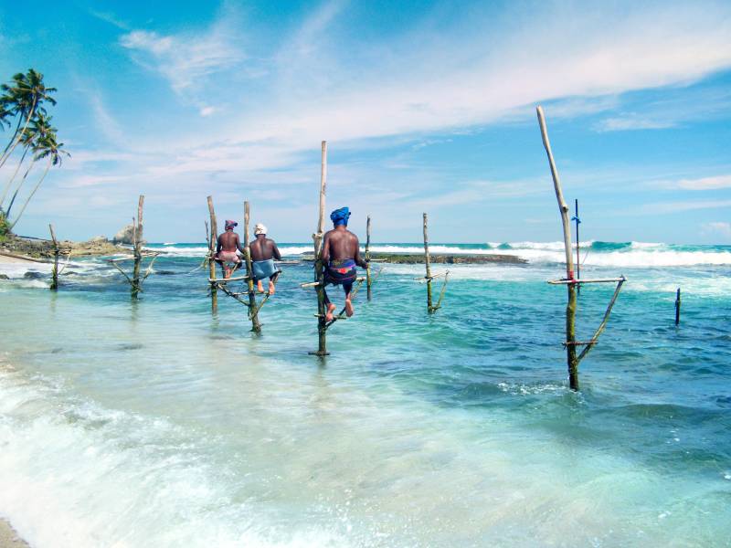 5-Day Sri Lanka Tour with Train Ride & Safari