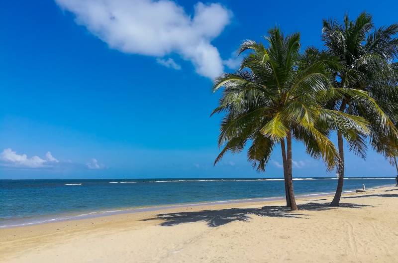 Sri Lanka: 4-Day Minneriya, Polonnaruwa, and Pasikuda Tour