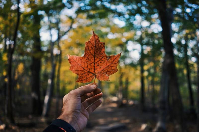 Discover Canada - Flight Included 6 Nights - 7 Days Tour