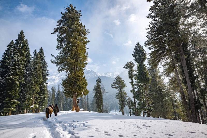 Kashmir Landscape 6 Nights - 7 Days Tour