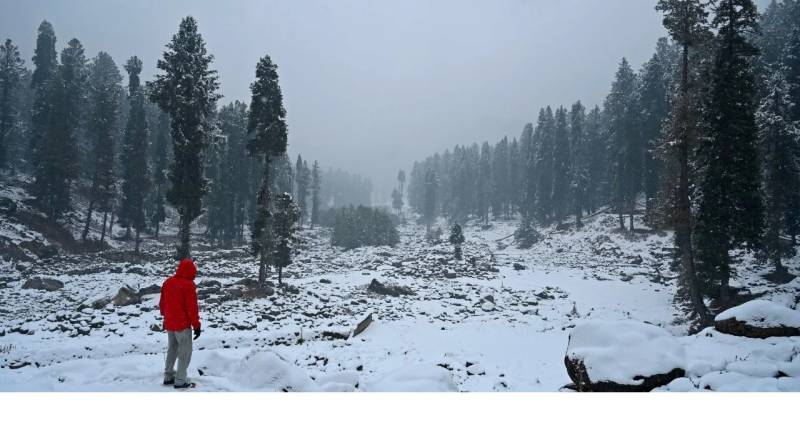 Kashmir Landscape 6 Nights - 7 Days Tour