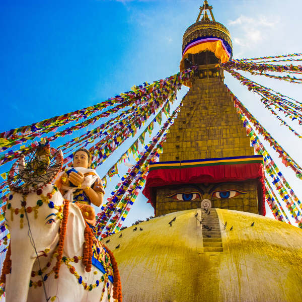 Kathmandu - Pokhara - Chitwan Package 8D 7N