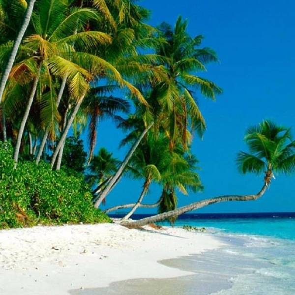 Tropical Andaman 05 Nights - 06 Days Tour