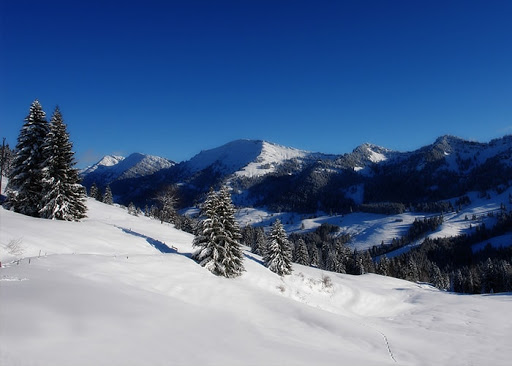 Himachal Escape 6 Nights - 7 Days Tour