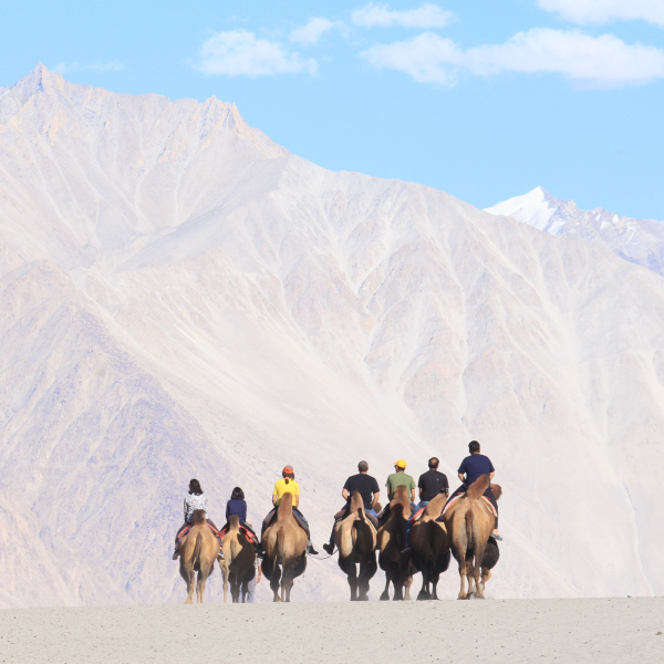 Ladakh Escape 06 Nights 07 Days