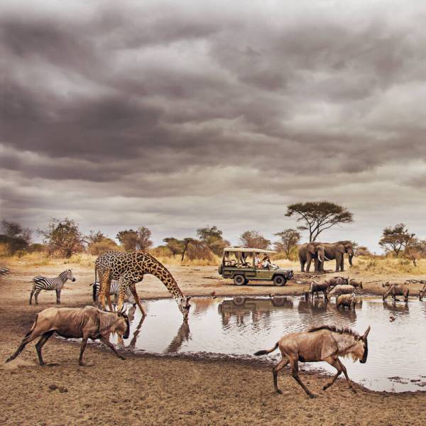 4 - Days Fly in Luxury Safari