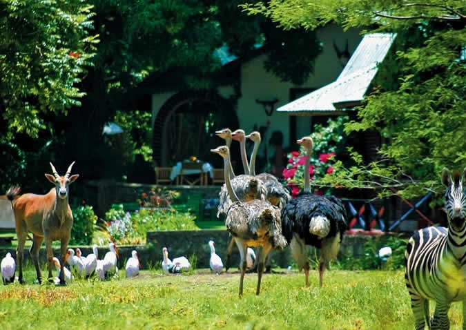 10 Days Tanzania Acacia Safari Tour